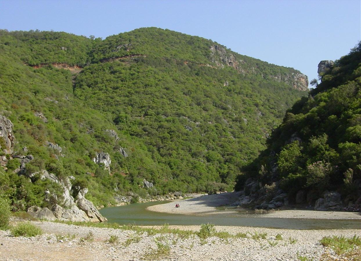 Хостел Caiat Lounge Refuge Taghzoute Экстерьер фото